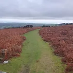 Carlingford Mountain Farm Camping Dundalk