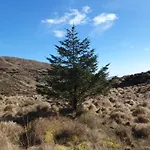 Carlingford Mountain Farm Camping Dundalk