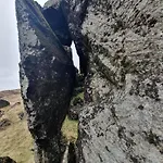 Carlingford Mountain Farm
