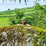Camping Carlingford Mountain Farm Dundalk