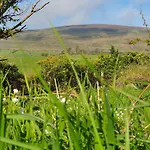 Carlingford Mountain Farm Camping *