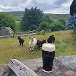 Camping Carlingford Mountain Farm *