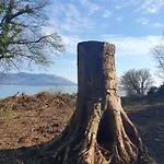 Camping Carlingford Mountain Farm
