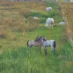 Carlingford Mountain Farm Camping Dundalk