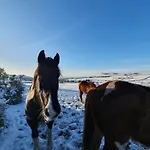 Carlingford Mountain Farm Dundalk