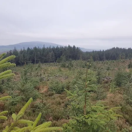 Carlingford Mountain Farm