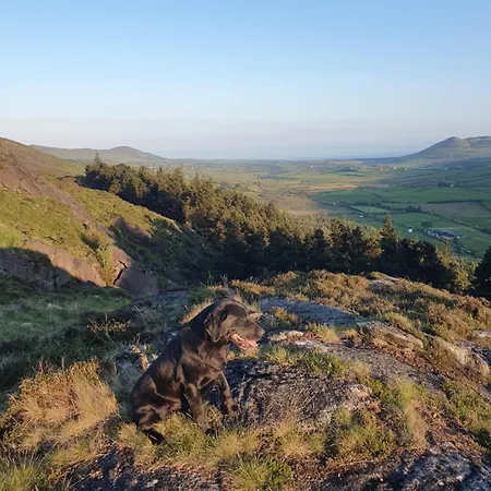 Carlingford Mountain Farm Dundalk
