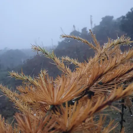 Carlingford Mountain Farm Camping Dundalk