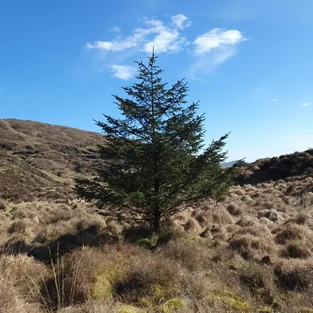 Carlingford Mountain Farm Camping Dundalk