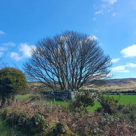 Campsite Carlingford Mountain Farm *