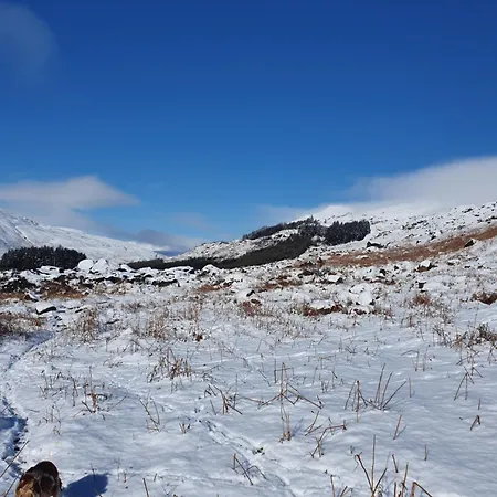 キャンプ場 Carlingford Mountain Farm