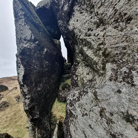 Carlingford Mountain Farm