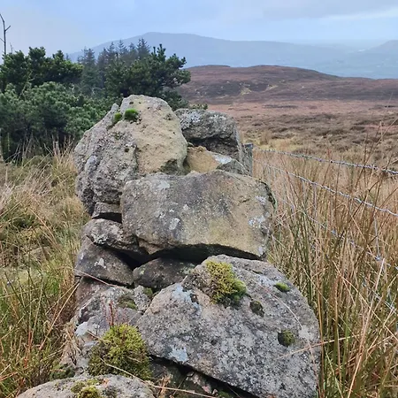 Carlingford Mountain Farm Campsite *