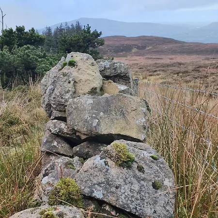 Carlingford Mountain Farm Camping *