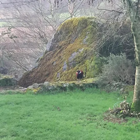 Campsite Carlingford Mountain Farm *