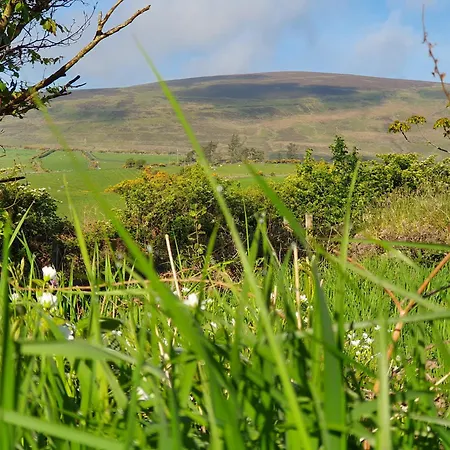 Carlingford Mountain Farm Campsite *