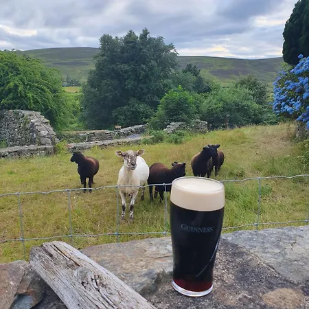 Camping Carlingford Mountain Farm *