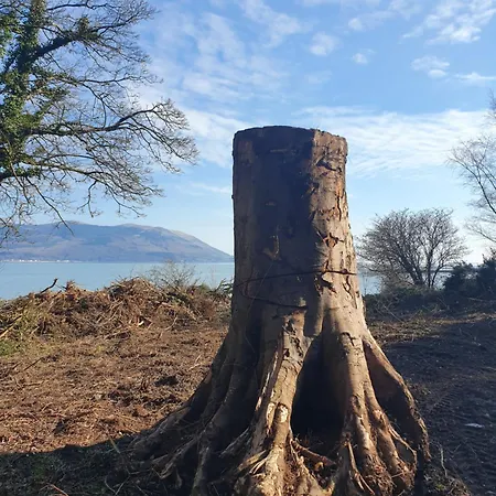 Kamp alanı Carlingford Mountain Farm