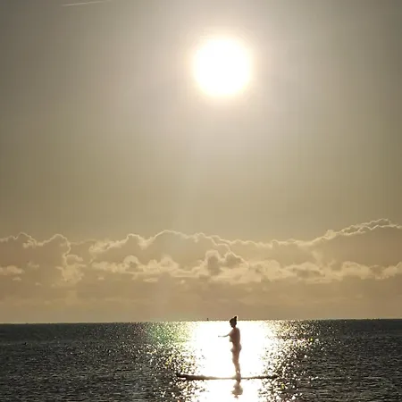 Carlingford Mountain Farm *