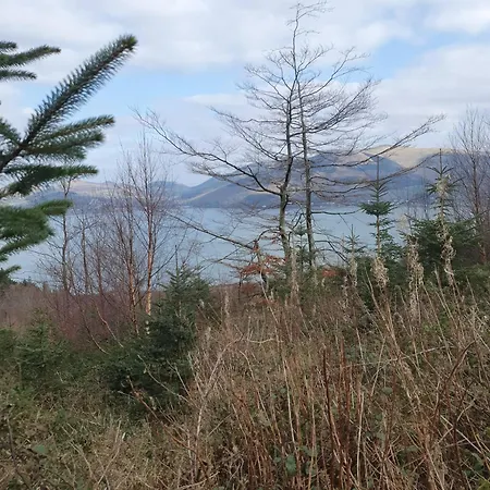 Carlingford Mountain Farm *