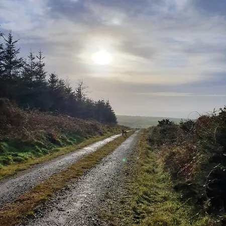 Carlingford Mountain Farm Kamp alanı Dundalk