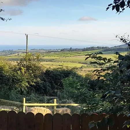 Carlingford Mountain Farm Дандолк