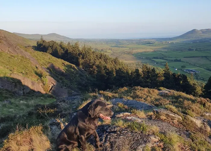 Carlingford Mountain Farm Дандолк