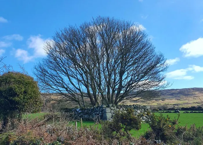 Кемпинг Carlingford Mountain Farm *