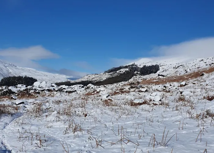 Кемпинг Carlingford Mountain Farm