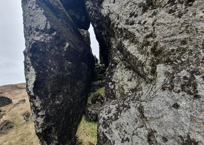 Carlingford Mountain Farm