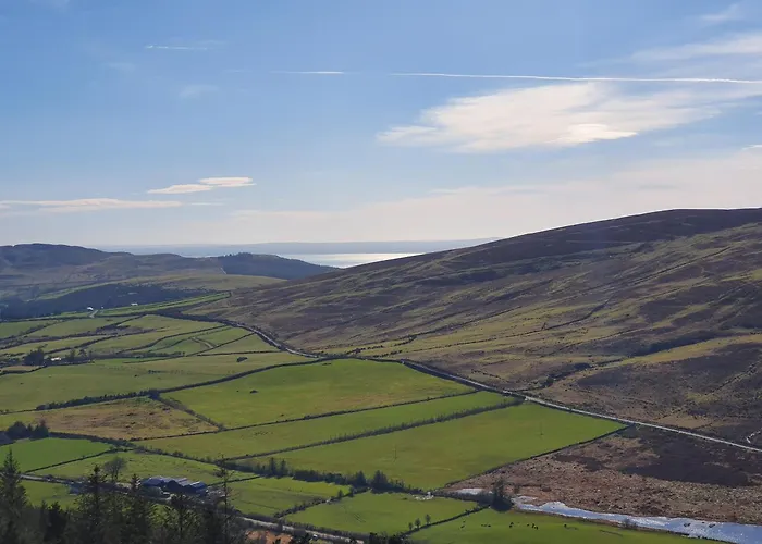 Carlingford Mountain Farm *
