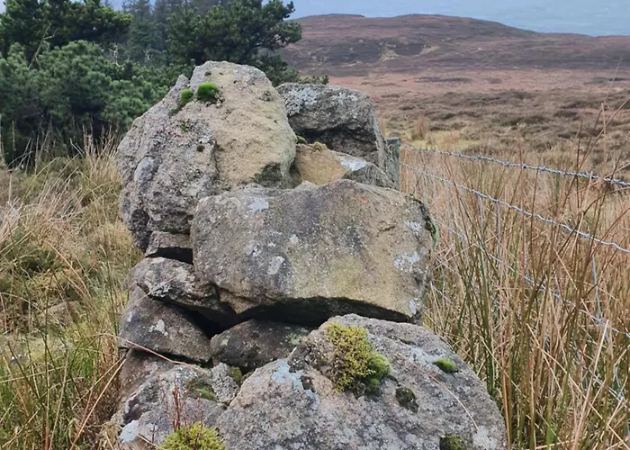 Carlingford Mountain Farm Кемпинг *