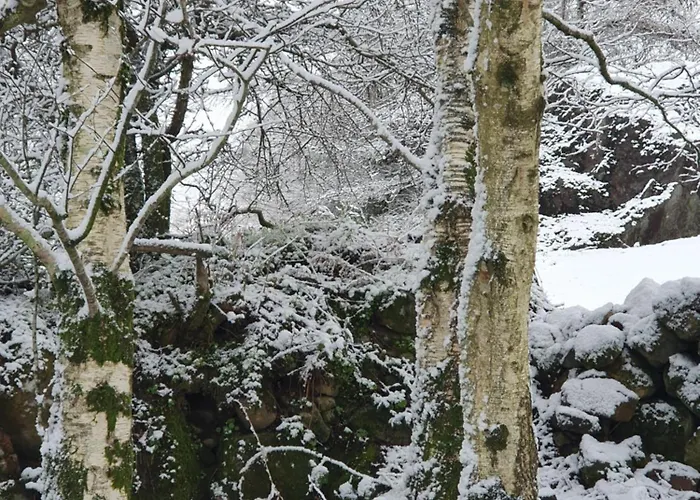 Кемпинг Carlingford Mountain Farm