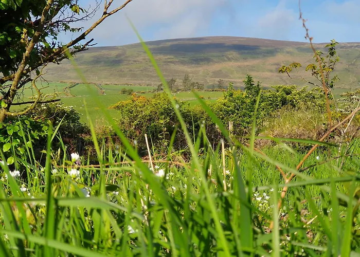 Carlingford Mountain Farm Кемпинг *