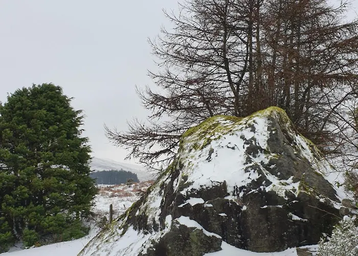 Carlingford Mountain Farm * Дандолк