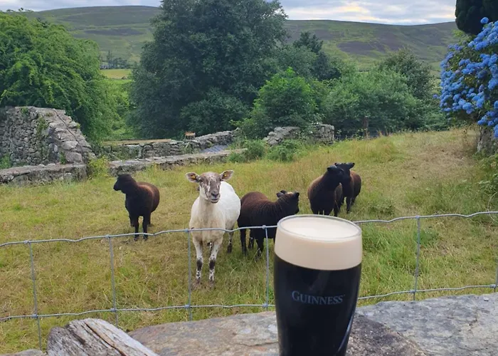 Кемпинг Carlingford Mountain Farm *