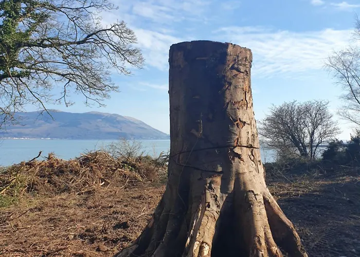 Кемпинг Carlingford Mountain Farm