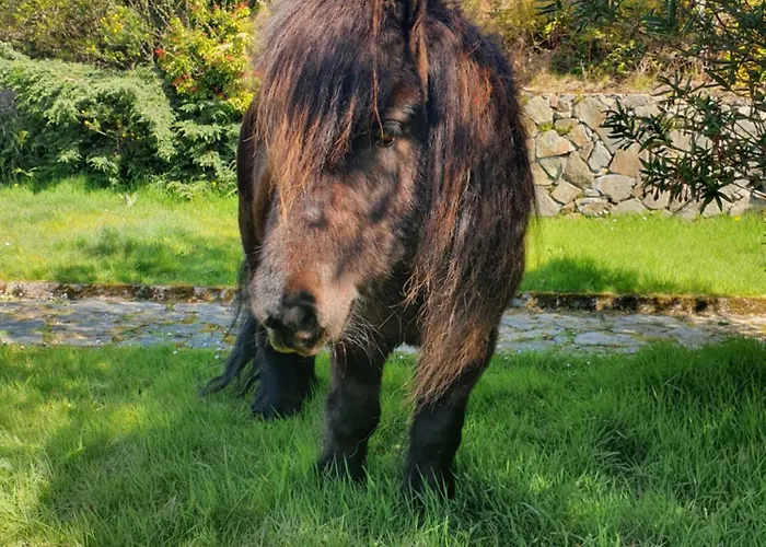 Кемпинг Carlingford Mountain Farm *