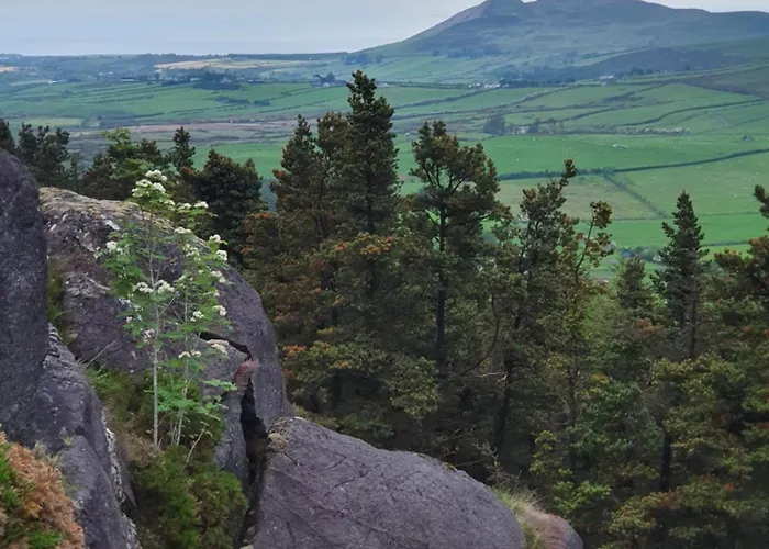 Кемпинг Carlingford Mountain Farm *