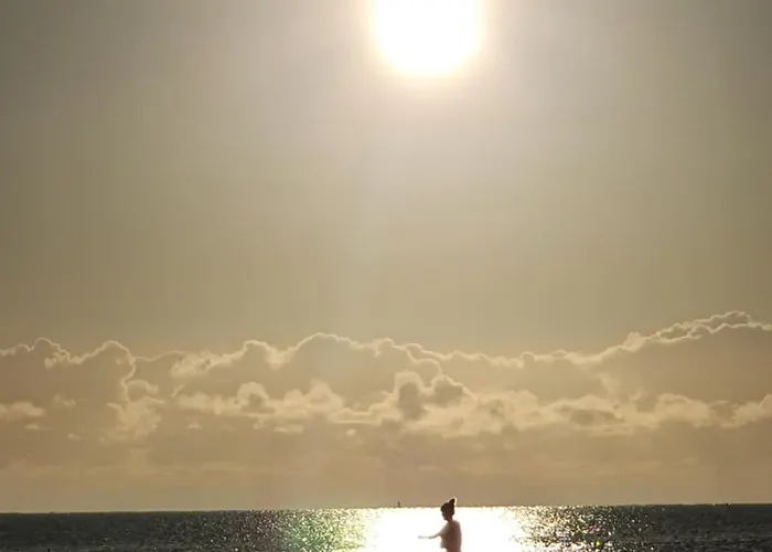 Carlingford Mountain Farm *