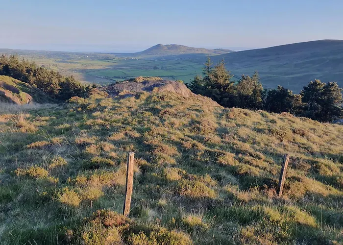 Carlingford Mountain Farm *