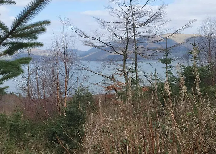 Carlingford Mountain Farm *