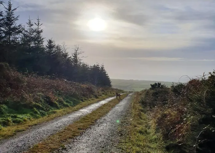 Carlingford Mountain Farm Кемпинг Дандолк