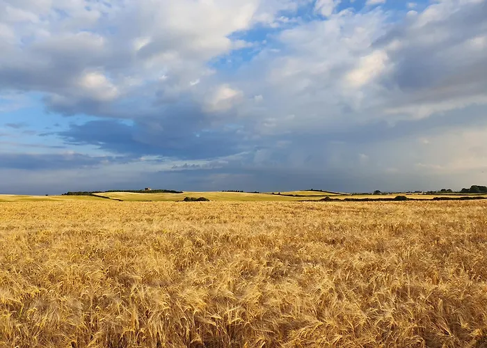Кемпинг Carlingford Mountain Farm *
